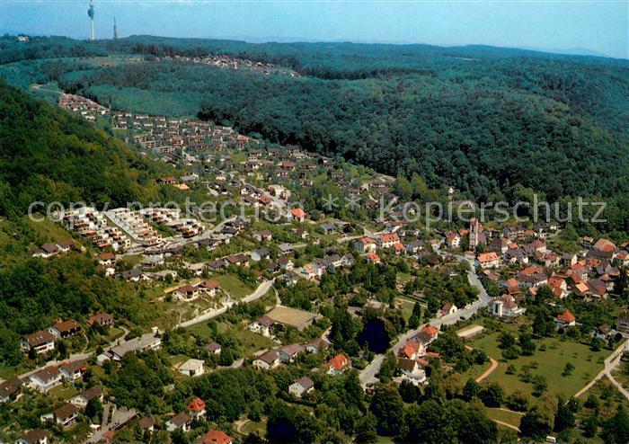 Grenzach-Wyhlen im Dreilaendereck Fliegeraufnahme