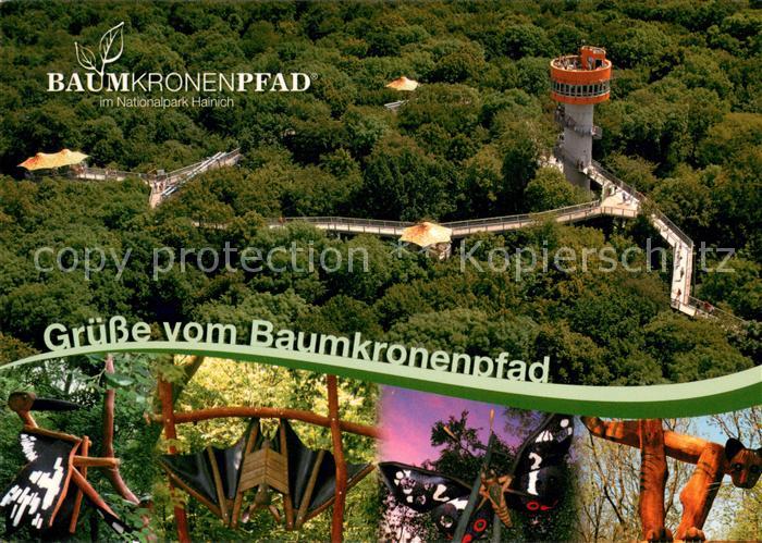 Hainich-Hoerselberg Baumkronenpfad im Nationalpark Fliegeraufnahme