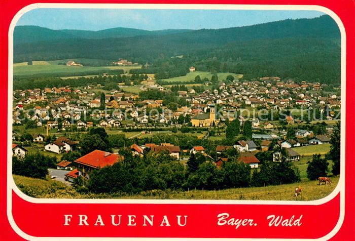 Frauenau Panorama Bayerischer Wald