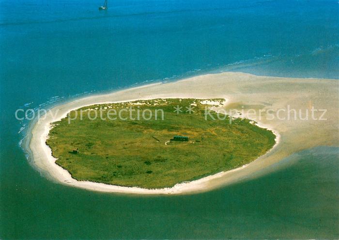 Scharhoern Nordseeinsel Elbmuendung Vogelschutzgebiet Fliegeraufnahme