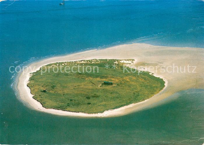 Scharhoern Vogelschutzinsel Fliegeraufnahme