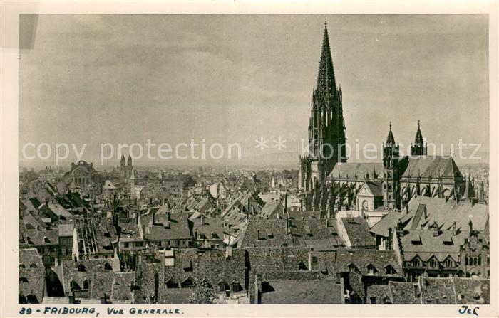 Freiburg Breisgau Panorama mit Muenster