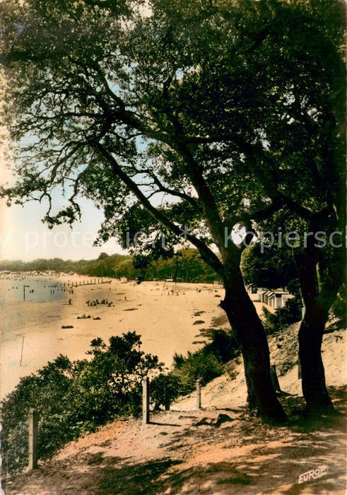 Ile de Noirmoutier Plage St Pierre Vue du bois de la Chaize