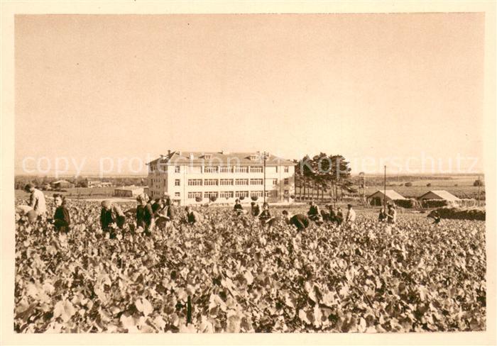 Reims Champagne Ardenne G.H. Mumm et Cie Ste Vinicole de Champagne Succ