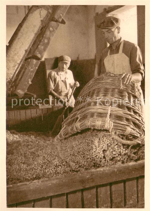 Reims Champagne Ardenne G.H. Mumm et Cie Ste Vinicole de Champagne Succ Raisinss