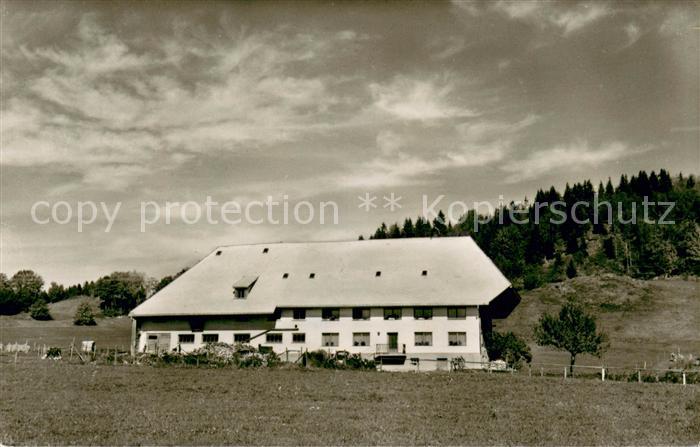 Ibach St Blasien Haus Boehler Ferienwohnung