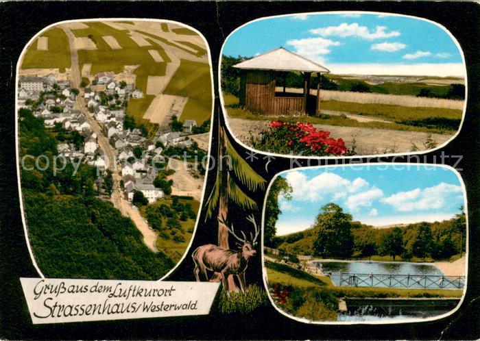 Strassenhaus Fliegeraufnahme Pavillon Park