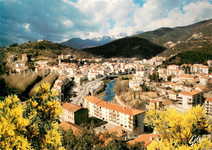Amelie-les-Bains-Palalda Vue generale de la vlle traversee par le Tech Au fond l