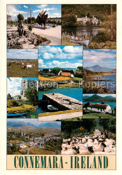Connemara Teilansichten Panorama Schloss Schafherde Teilansichten