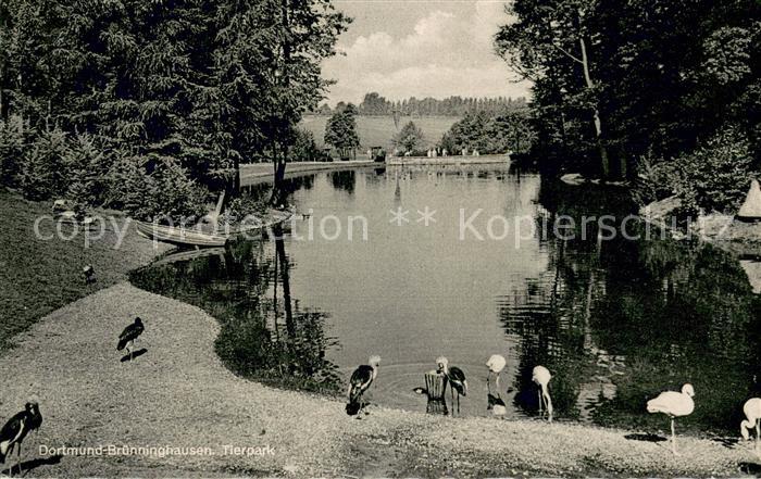 Bruenninghausen Tierpark
