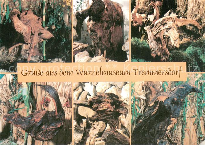 Tremmersdorf Wurzelmuseum Details