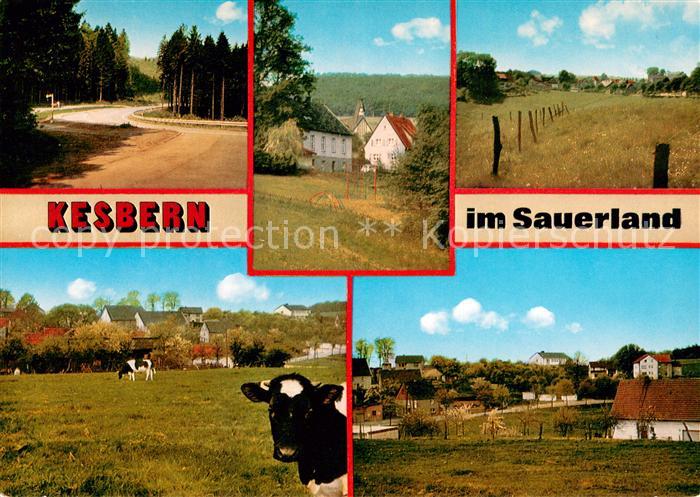 Kesbern Gaststaette Daute Panorama Rinderweide