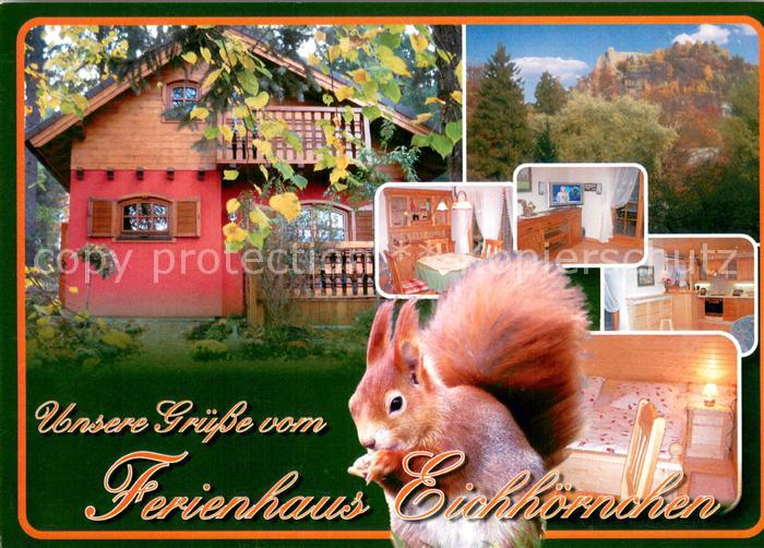 Oybin Sachsen Ferienhaus Eichhoernchen Details