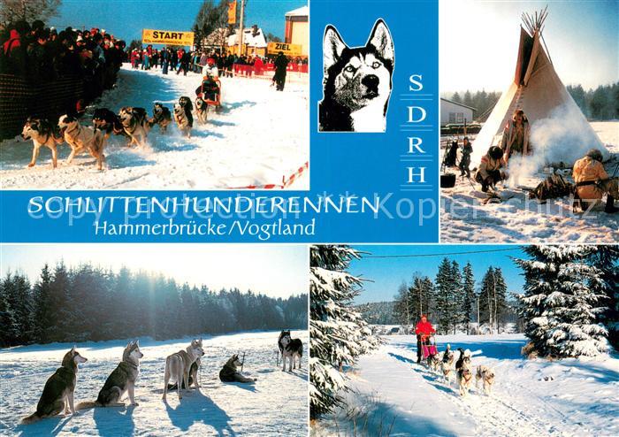 Hammerbruecke Schlittenhunderennen Tipi Schlittenhunde
