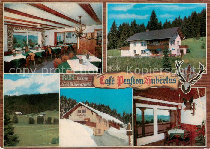 Ibach St Blasien Cafe Pension Hubertus Gastraeume Panorama