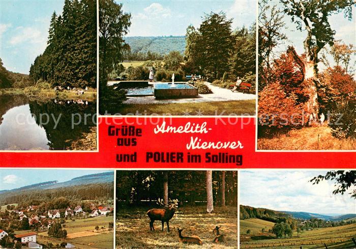 Amelith Schwanenteich Park Panorama Tiergehege