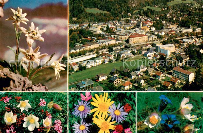 Bad Ischl Salzkammergut Alpenflora Fliegeraufnahme