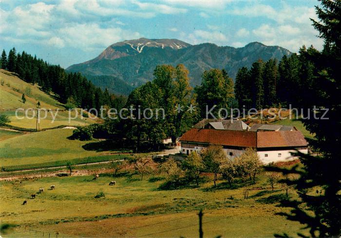 Rohr Gebirge Alpengasthof zur Kalten Kuchl mit Schneeberg