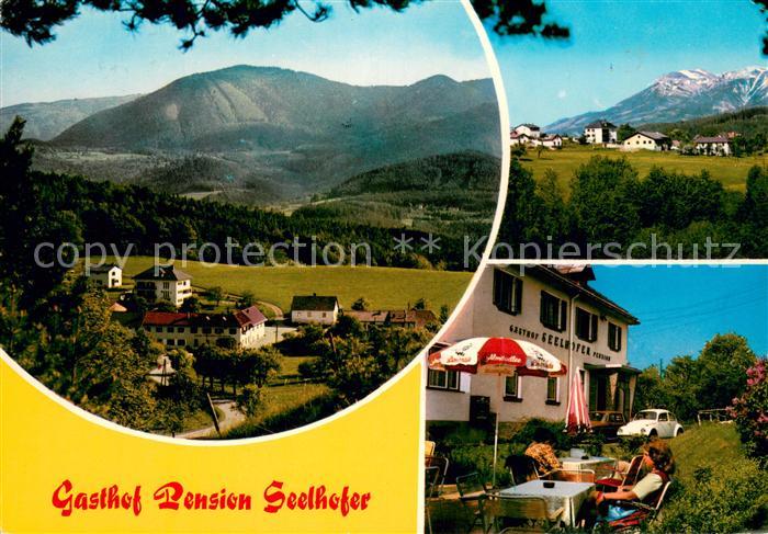 Prigglitz Gasthof Pension Seelhofer Panorama Terrasse
