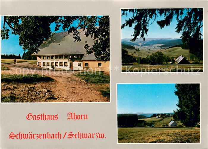 Schwaerzenbach Titisee-Neustadt Gasthaus Ahorn