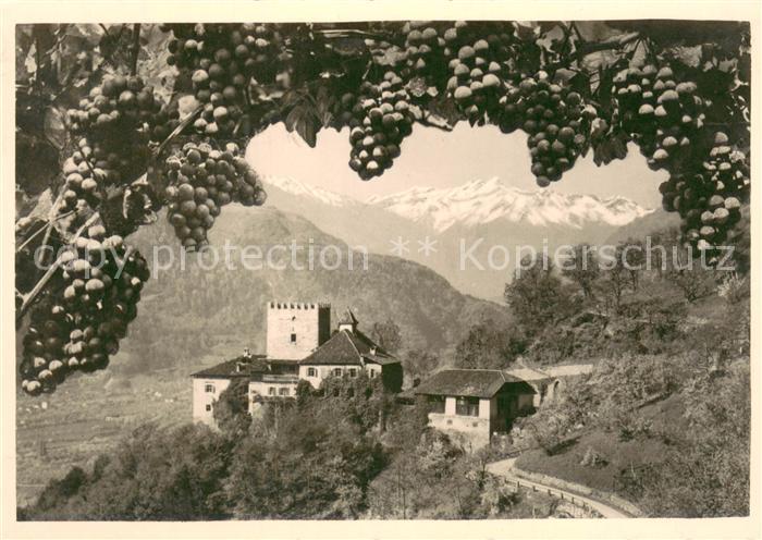 Meran Merano Castel Torre Schloss Thurnstein Weintrauben Alpenblick