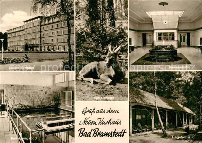 Bad Bramstedt Neues Kurhaus Bewegungsbad Brunnenhalle Liegehalle Reh Gehege