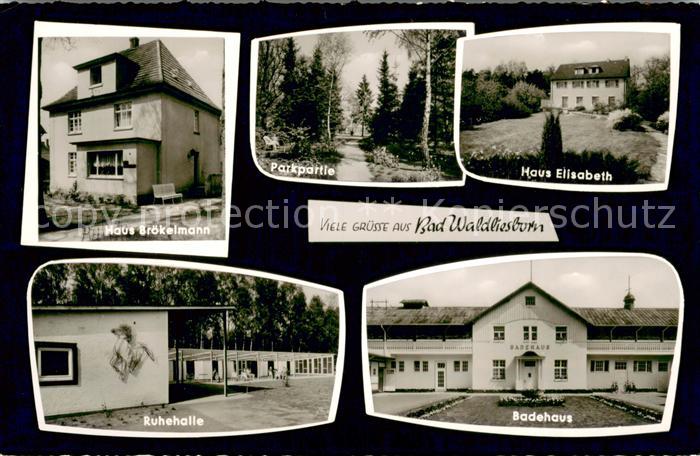Bad Waldliesborn Pensionshaeuser Park Ruhehalle Badehaus