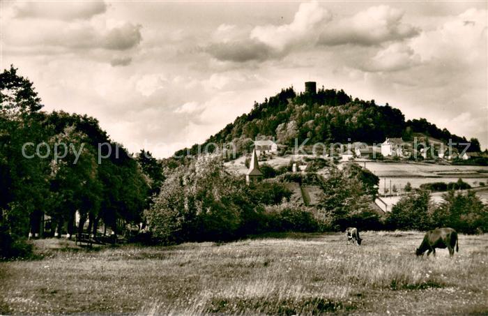 Nuerburg Landschaftspanorama mit Blick zur Burg