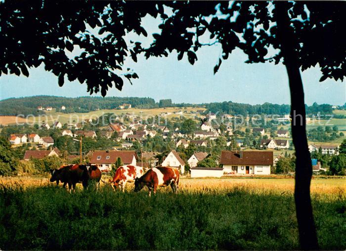 Bierenbachtal Ansicht vom Waldrand aus Viehweide Kuehe