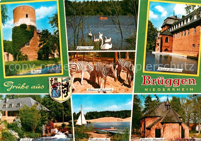 Brueggen Niederrhein Burg Laarer See Schloss Dillborn Natur- und Tierpark Zebras