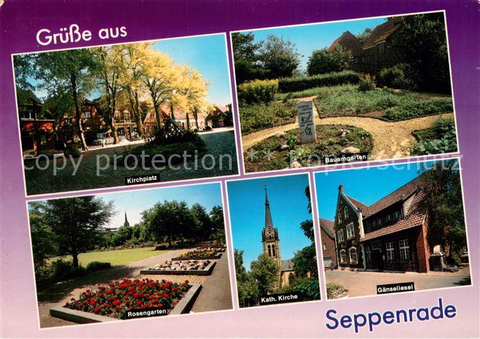 Seppenrade Kirchplatz Rosengarten Park Bauerngarten Kirche Gaenseliesel