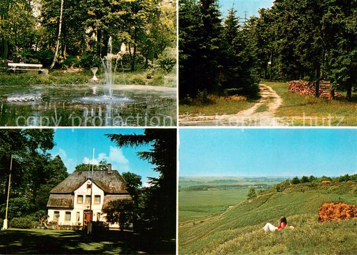 St Michaelisdonn Teich Waldweg Landschaftspanorama Villa