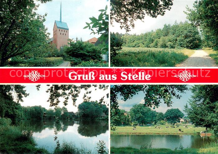 Stelle Kirche Waldweg Teich Landschaft