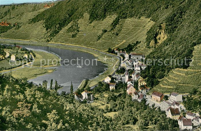 Brodenbach Mosel Panorama