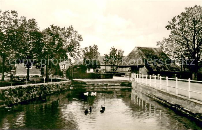 Hohenfelde Kiel Schwanenteich