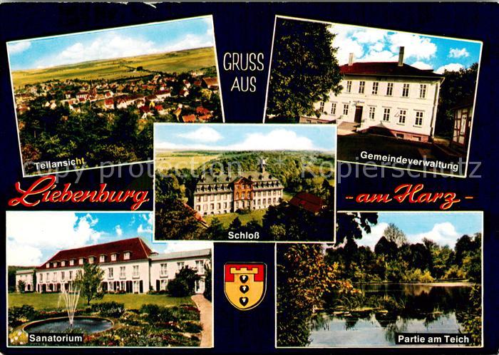 Liebenburg Panorama Gemeindeverwaltung Sanatorium Schloss Partie am Teich