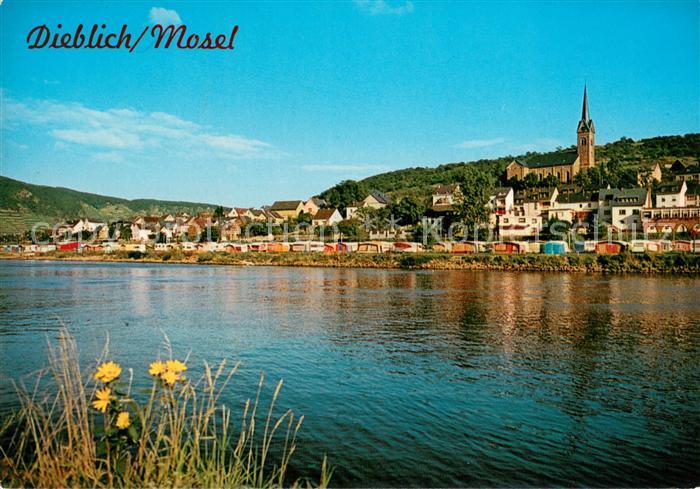 Dieblich Mosel Panorama