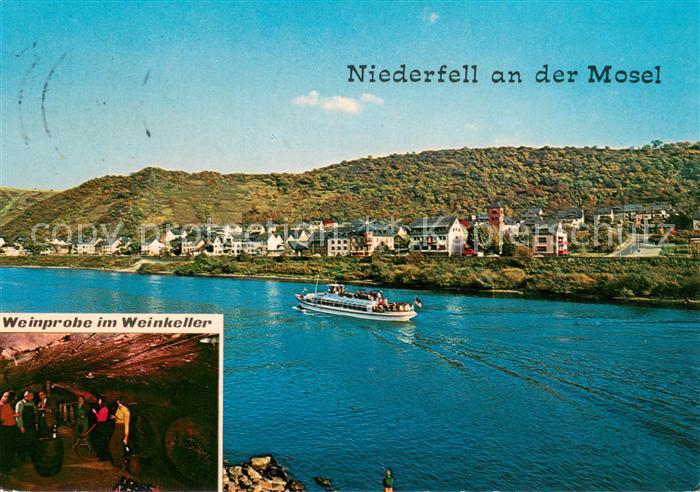 Niederfell Mosel Panorama Weinprobe im Weinkeller