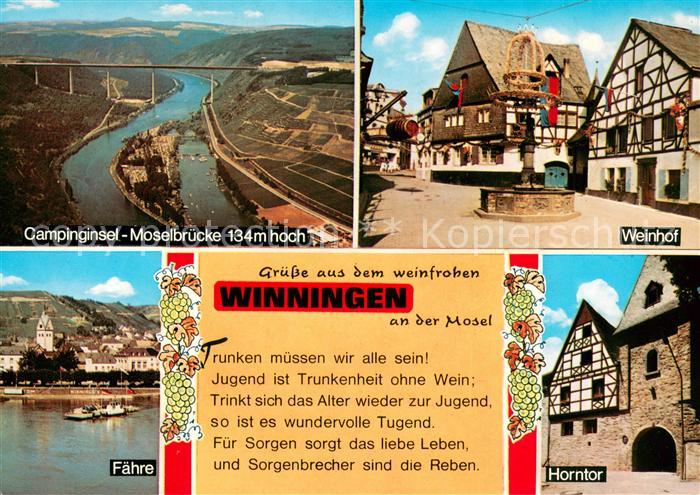 Winningen Mosel Campinginsel Moselbruecke Weinhexenbrunnen Faehre Horntor