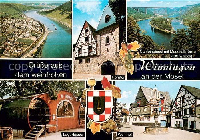 Winningen Mosel Fliegeraufnahme Horntor Campinginsel mit Moseltalbruecke Lagerfa