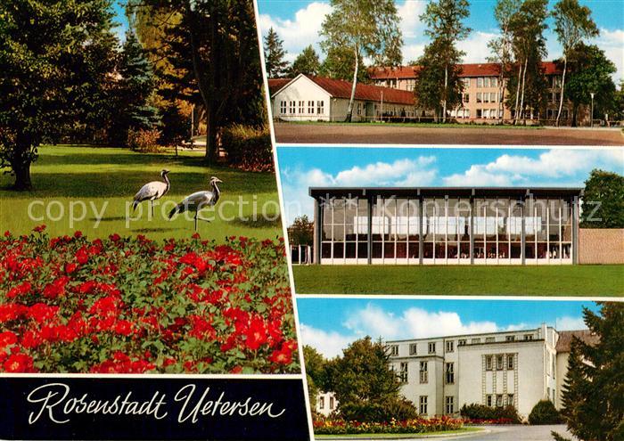 Uetersen Park Schule Stadthalle