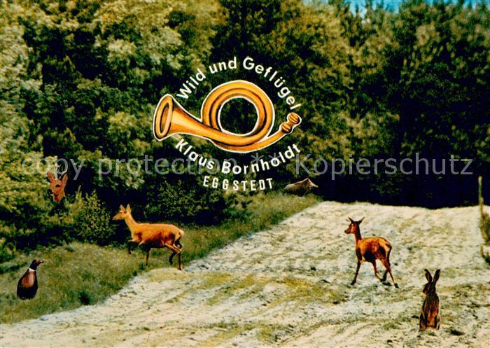 Eggstedt Dithmarschen Fotomontage mit Reh Hase Ente Wild und Gefluegelverkauf Kl