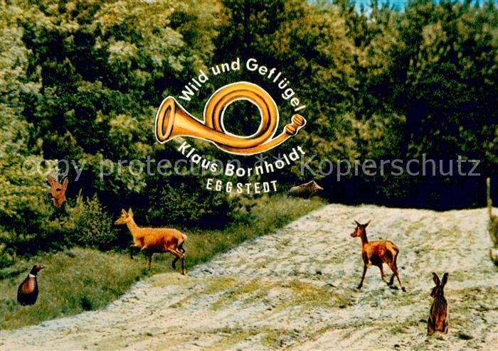 Eggstedt Dithmarschen Fotomontage mit Reh Hase Ente Wild und Gefluegelverkauf Kl