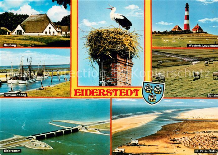 Eiderstedt Haubang Tuemlauer Koog Storchennest Westerhever Leuchtturm Eiderdamm