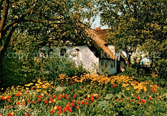 Keitum Sylt Friesenhaus