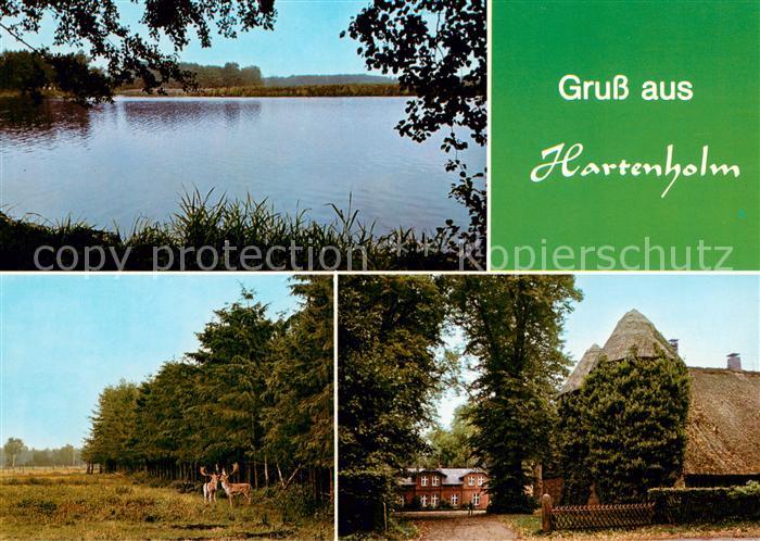 Hartenholm Seepartie Hirsche Reetdachhaeuser