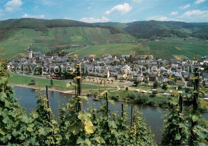 Bruttig Mosel Panorama