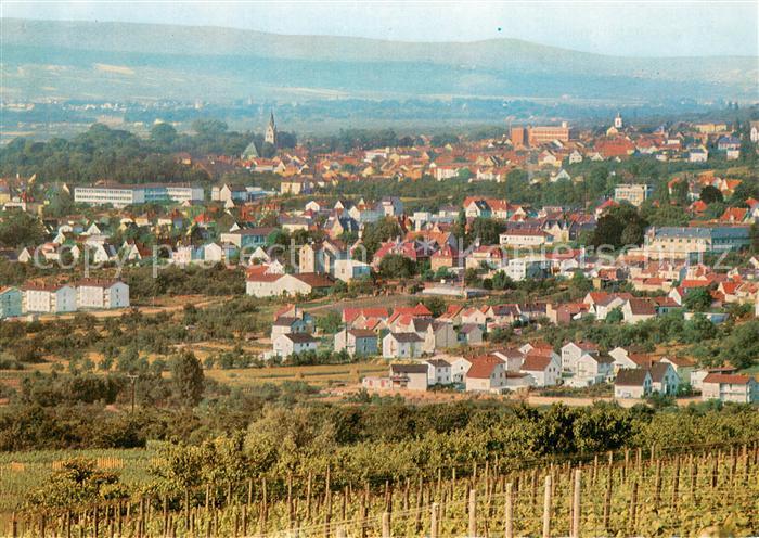Ingelheim Rhein Panorama