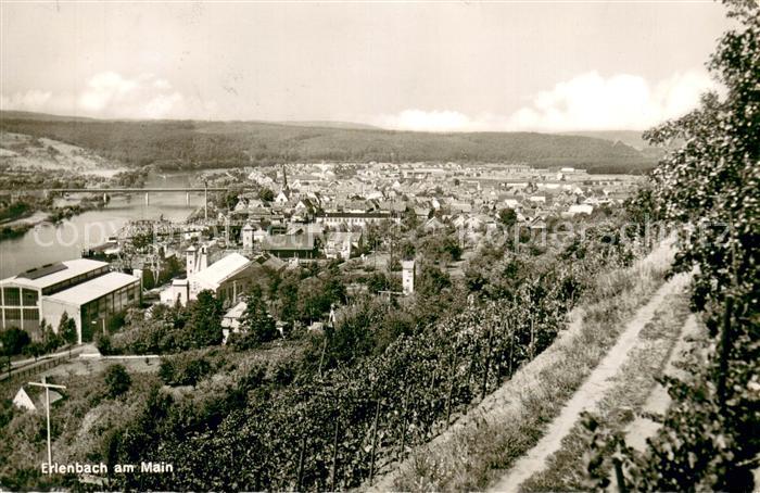 Erlenbach Main Panorama