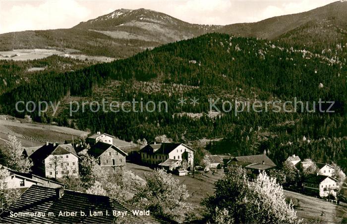 Sommerau Bayern Panorama mit Arber